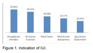 Outcome of Intra Uterine Insemination in Sahara International Fertility Centre